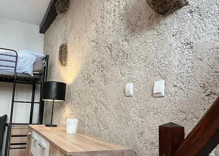 Montferrand 公寓 克莱蒙费朗